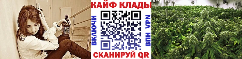 Магазины продажи наркотиков Сальск Псилоцибиновые грибы  Героин  Cocaine  Alpha PVP  Гашиш 