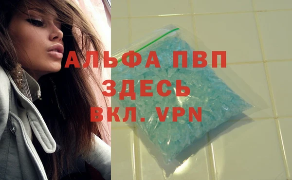 стаф Покров