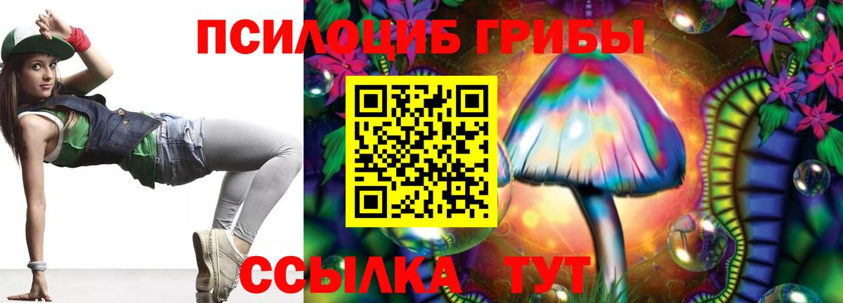 Псилоцибиновые грибы мицелий  Псилоцибиновые грибы Psilocybe  Сальск  Вход с VPN 